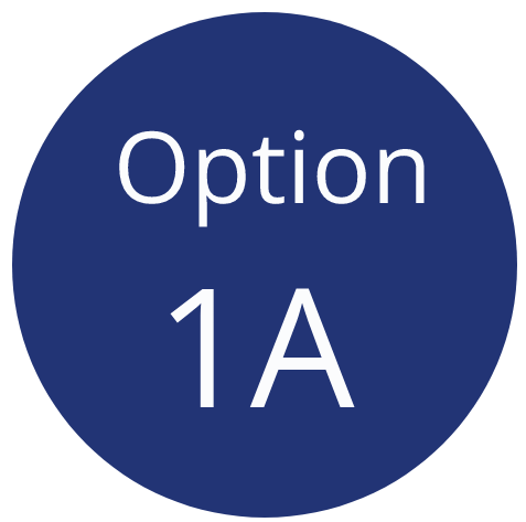 Option 1A Option 1A
