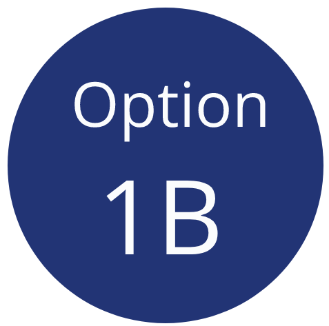 Option 1B