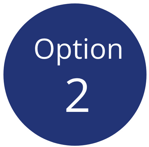 Option 2 Option 2