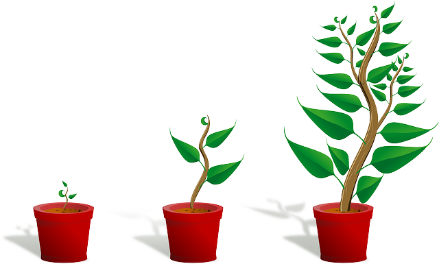 Growth path
