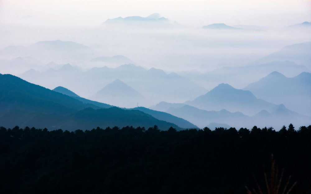 Transformational life coaching