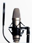 voice artist